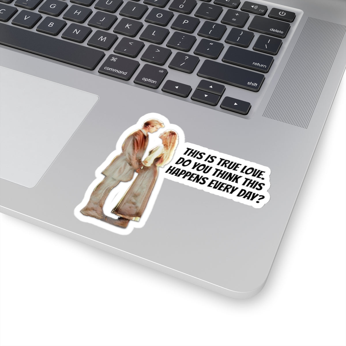 Princess Bride Sticker, Fezzik, Inigo Montoya, Count Rogan, Buttercup, Westley, Vizzini, Humperdinck, Cinephile, Movie Lover Gift, Sticker